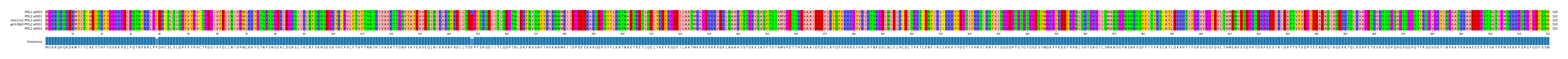 Multiple Alignments (by translate haplotype similarity)
