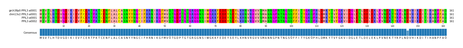 Multiple Alignments (by translate haplotype similarity)