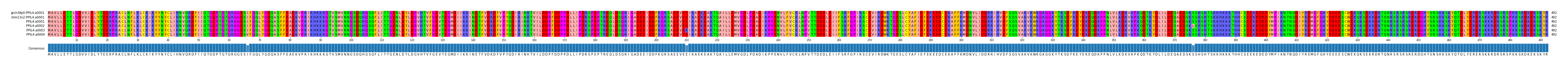 Multiple Alignments (by translate haplotype frequency)