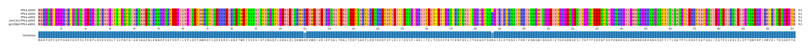 Multiple Alignments (by translate haplotype similarity)