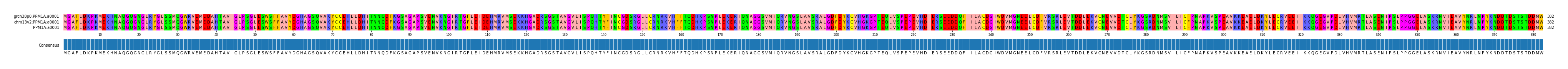 Multiple Alignments (by translate haplotype similarity)