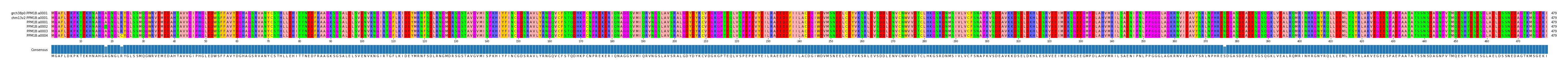 Multiple Alignments (by translate haplotype frequency)