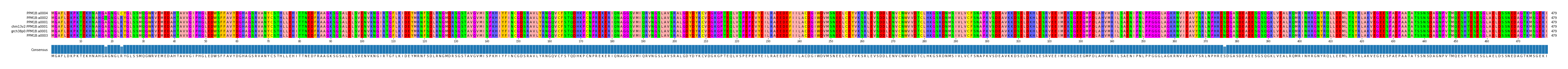 Multiple Alignments (by translate haplotype similarity)