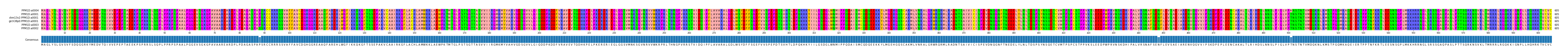Multiple Alignments (by translate haplotype similarity)