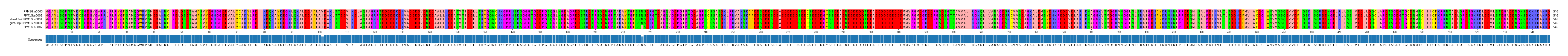 Multiple Alignments (by translate haplotype similarity)