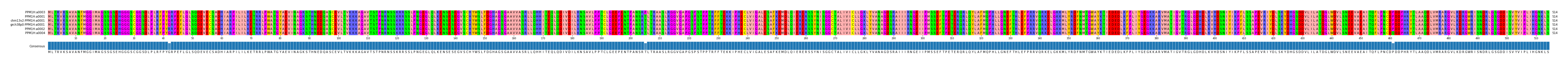 Multiple Alignments (by translate haplotype similarity)