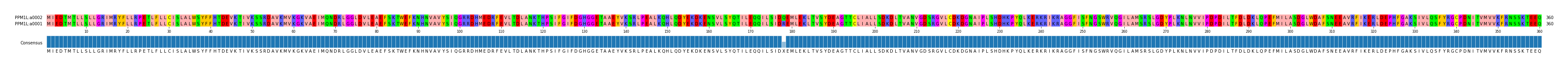 Multiple Alignments (by translate haplotype similarity)
