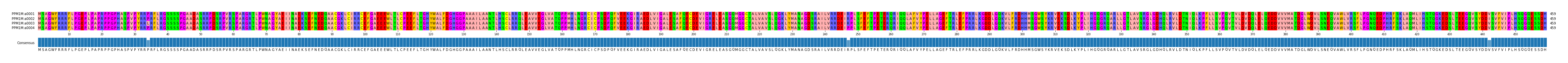 Multiple Alignments (by translate haplotype frequency)
