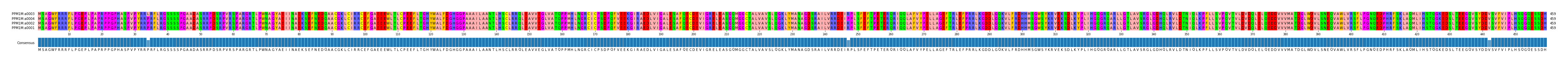 Multiple Alignments (by translate haplotype similarity)