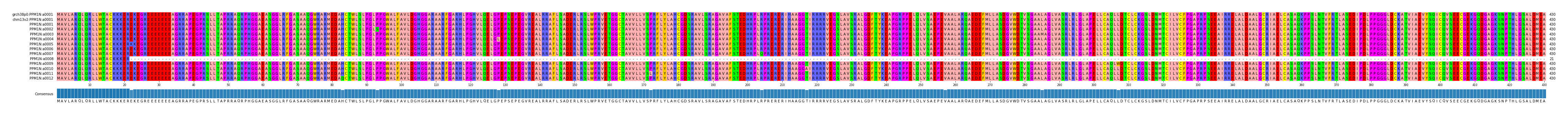 Multiple Alignments (by translate haplotype frequency)