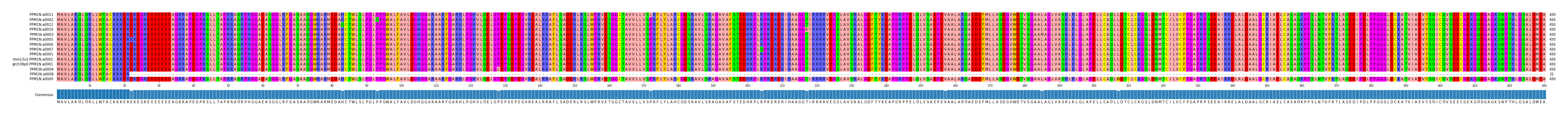 Multiple Alignments (by translate haplotype similarity)