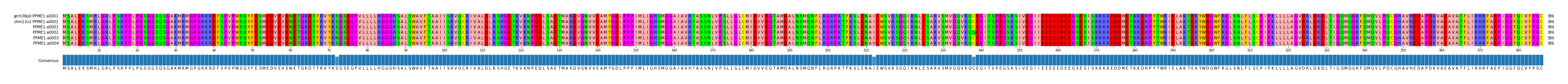 Multiple Alignments (by translate haplotype frequency)