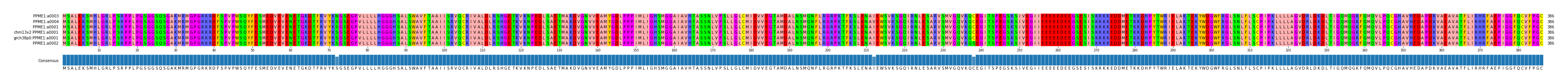 Multiple Alignments (by translate haplotype similarity)