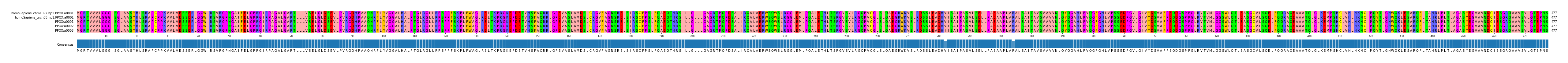 Multiple Alignments (by translate haplotype frequency)