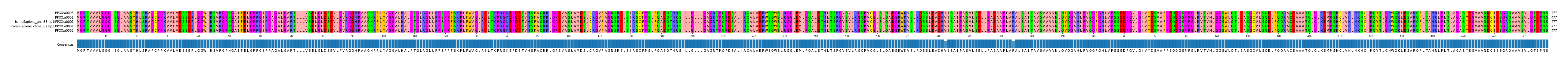 Multiple Alignments (by translate haplotype similarity)