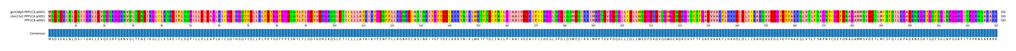 Multiple Alignments (by translate haplotype similarity)
