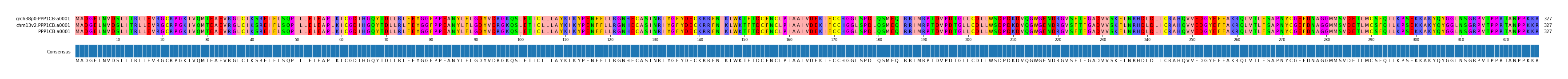 Multiple Alignments (by translate haplotype similarity)