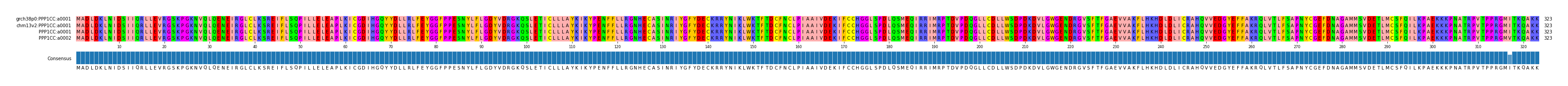 Multiple Alignments (by translate haplotype similarity)