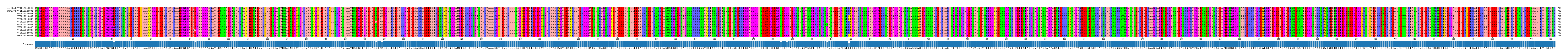 Multiple Alignments (by translate haplotype frequency)