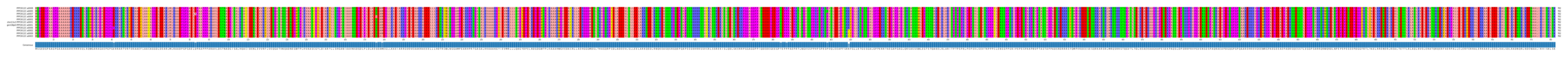 Multiple Alignments (by translate haplotype similarity)