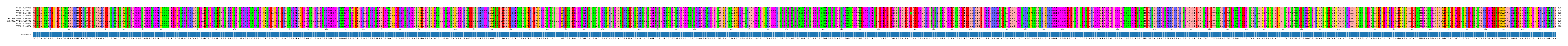 Multiple Alignments (by translate haplotype similarity)