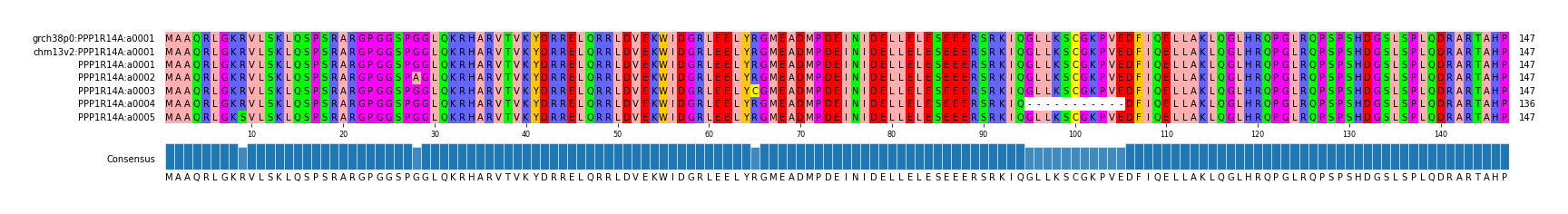 Multiple Alignments (by translate haplotype frequency)