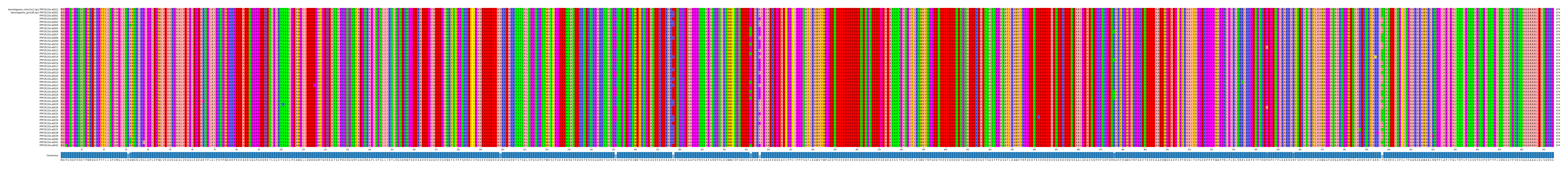 Multiple Alignments (by translate haplotype frequency)
