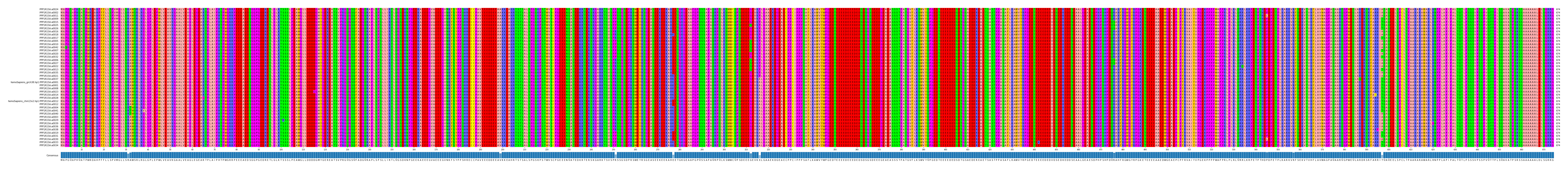 Multiple Alignments (by translate haplotype similarity)