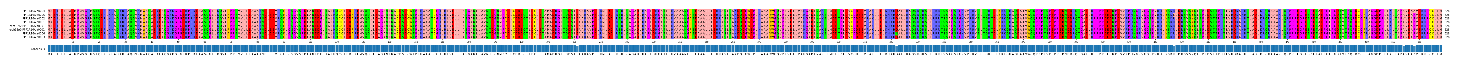 Multiple Alignments (by translate haplotype similarity)