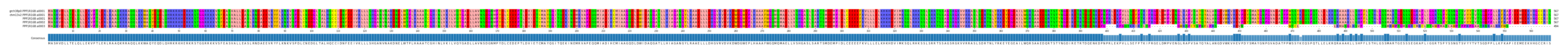 Multiple Alignments (by translate haplotype similarity)