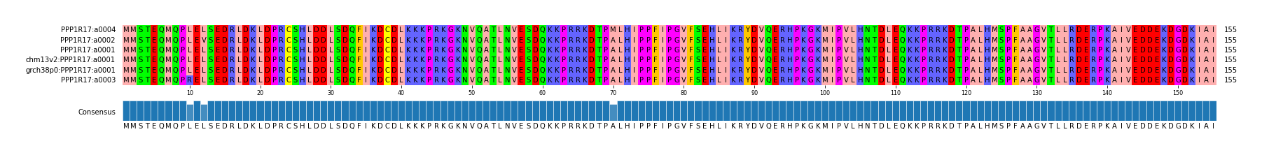 Multiple Alignments (by translate haplotype similarity)