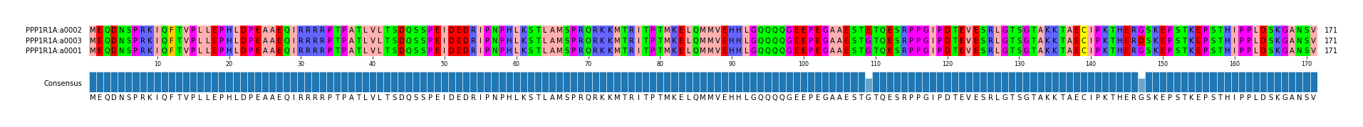 Multiple Alignments (by translate haplotype similarity)