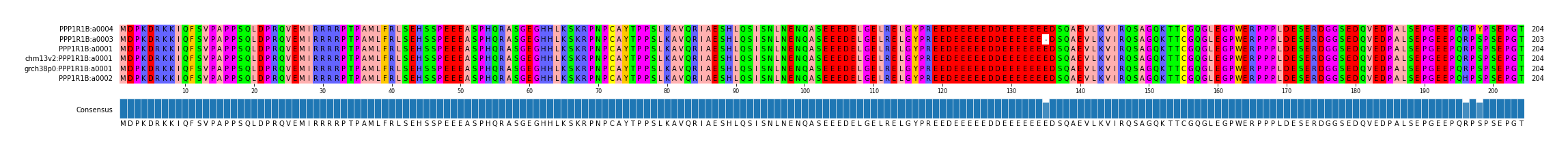 Multiple Alignments (by translate haplotype similarity)