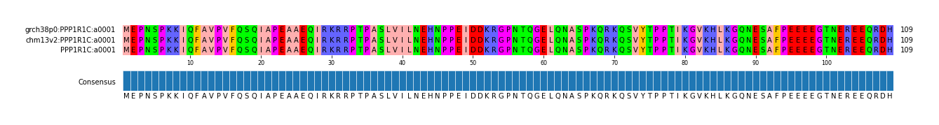 Multiple Alignments (by translate haplotype frequency)