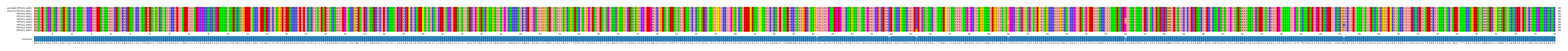 Multiple Alignments (by translate haplotype frequency)