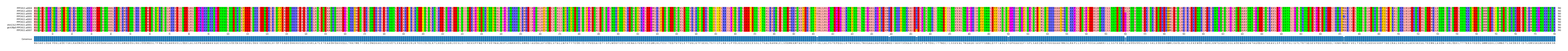 Multiple Alignments (by translate haplotype similarity)
