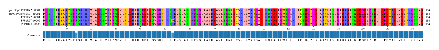 Multiple Alignments (by translate haplotype frequency)