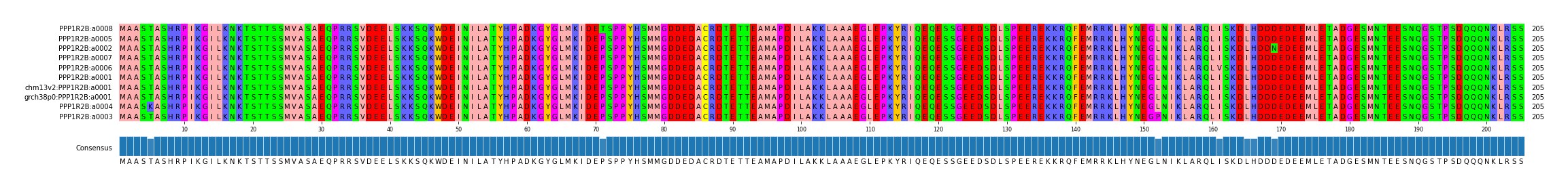 Multiple Alignments (by translate haplotype similarity)