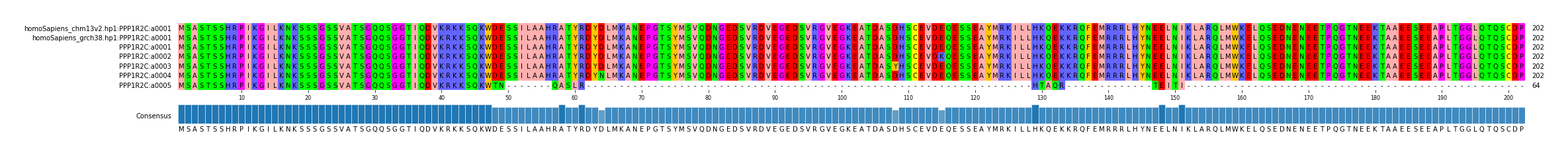 Multiple Alignments (by translate haplotype frequency)