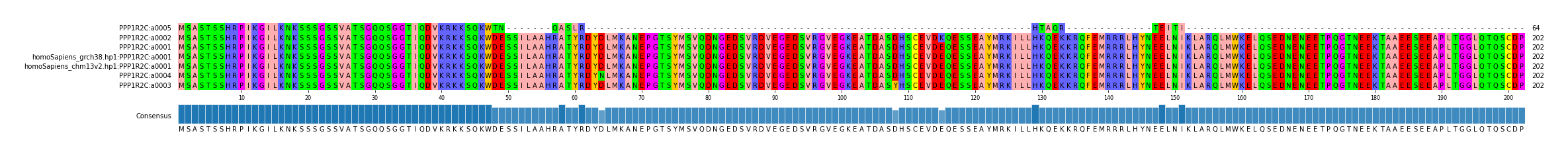Multiple Alignments (by translate haplotype similarity)