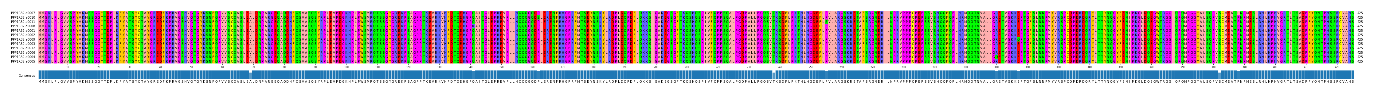 Multiple Alignments (by translate haplotype similarity)