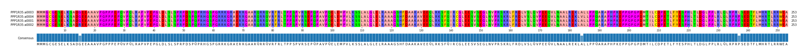 Multiple Alignments (by translate haplotype similarity)