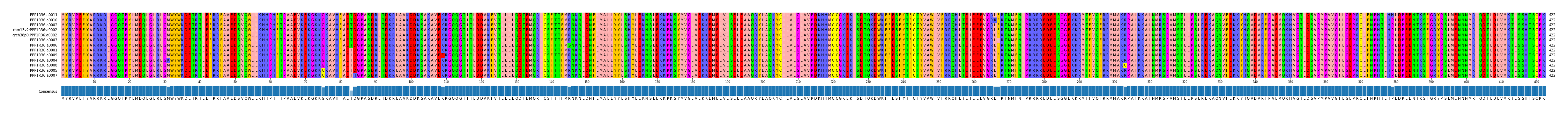Multiple Alignments (by translate haplotype similarity)