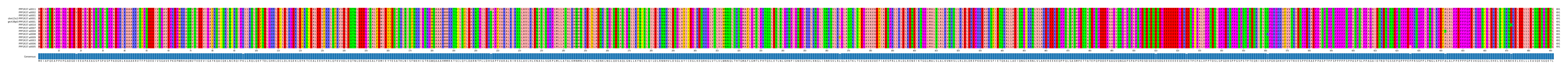 Multiple Alignments (by translate haplotype similarity)