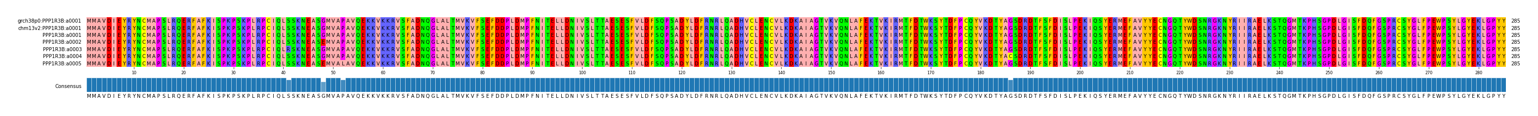 Multiple Alignments (by translate haplotype frequency)