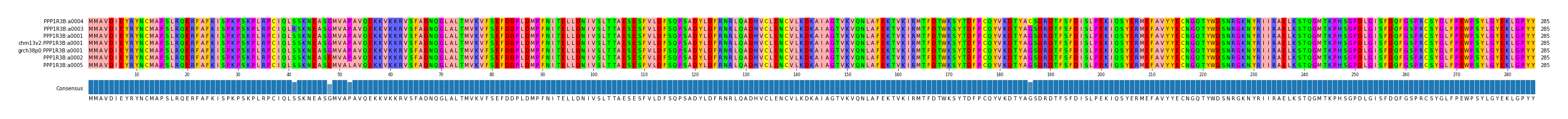 Multiple Alignments (by translate haplotype similarity)