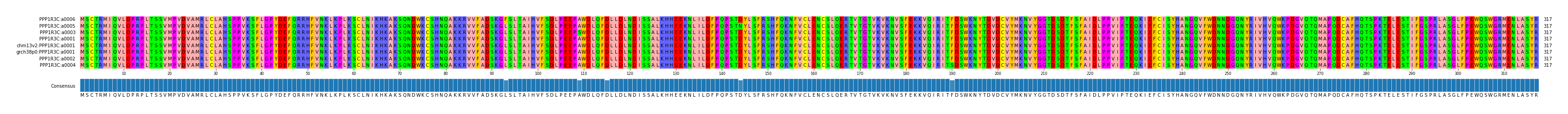 Multiple Alignments (by translate haplotype similarity)
