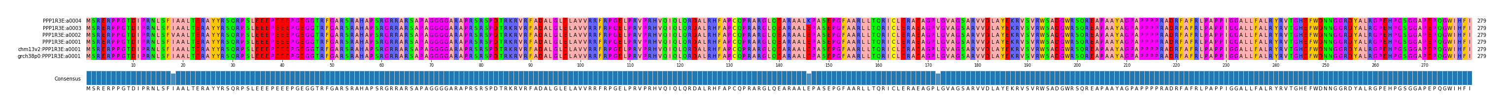 Multiple Alignments (by translate haplotype similarity)