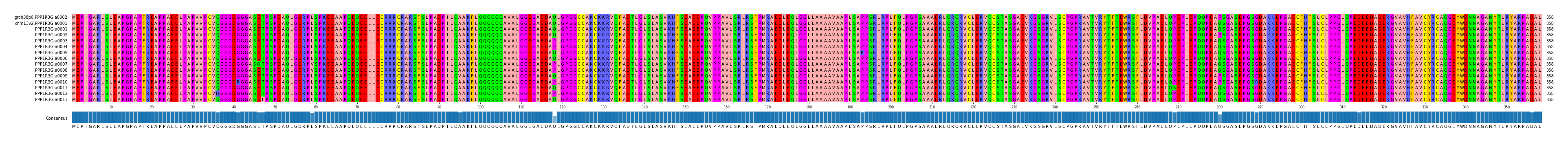 Multiple Alignments (by translate haplotype frequency)
