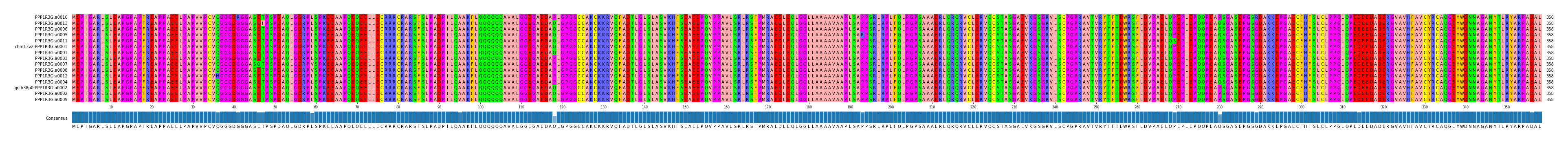 Multiple Alignments (by translate haplotype similarity)